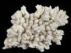 Barite Crystal Cluster - Poland #61759-1